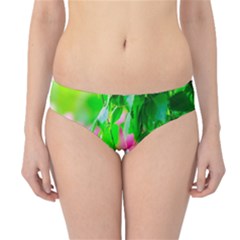 Green Birch Leaves, Pink Flowers Hipster Bikini Bottoms by FunnyCow