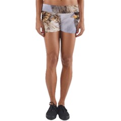 Funny Wet Sparrow Bird Yoga Shorts by FunnyCow
