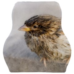 Funny Wet Sparrow Bird Car Seat Velour Cushion  by FunnyCow