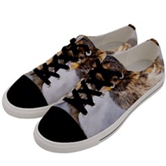 Funny Wet Sparrow Bird Men s Low Top Canvas Sneakers by FunnyCow