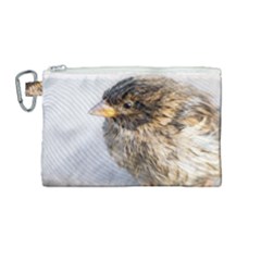Funny Wet Sparrow Bird Canvas Cosmetic Bag (medium) by FunnyCow