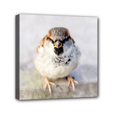 Do Not Mess With Sparrows Mini Canvas 6  X 6  by FunnyCow