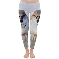 Do Not Mess With Sparrows Classic Winter Leggings by FunnyCow