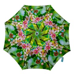 Crab Apple Flowers Hook Handle Umbrellas (small) by FunnyCow