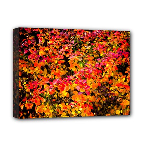 Orange, Yellow Cotoneaster Leaves In Autumn Deluxe Canvas 16  X 12   by FunnyCow