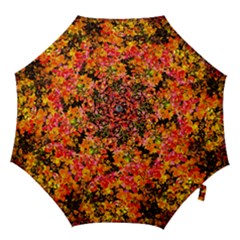 Orange, Yellow Cotoneaster Leaves In Autumn Hook Handle Umbrellas (medium) by FunnyCow