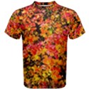 Orange, yellow cotoneaster leaves in autumn Men s Cotton Tee View1