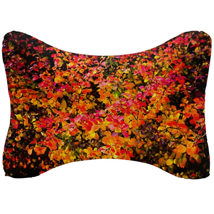 Orange, yellow cotoneaster leaves in autumn Seat Head Rest Cushion