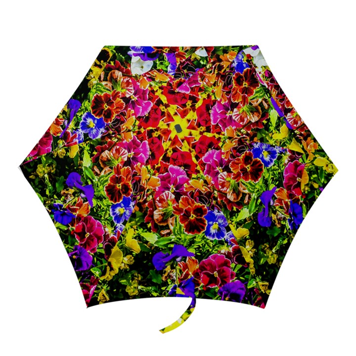 Viola Tricolor Flowers Mini Folding Umbrellas