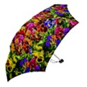 Viola Tricolor Flowers Mini Folding Umbrellas View2