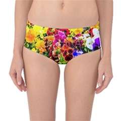 Viola Tricolor Flowers Mid-waist Bikini Bottoms by FunnyCow