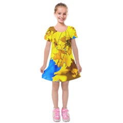Yellow Maple Leaves Kids  Short Sleeve Velvet Dress by FunnyCow