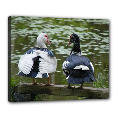 Muscovy Ducks At The Pond Canvas 20  X 16  by IIPhotographyAndDesigns