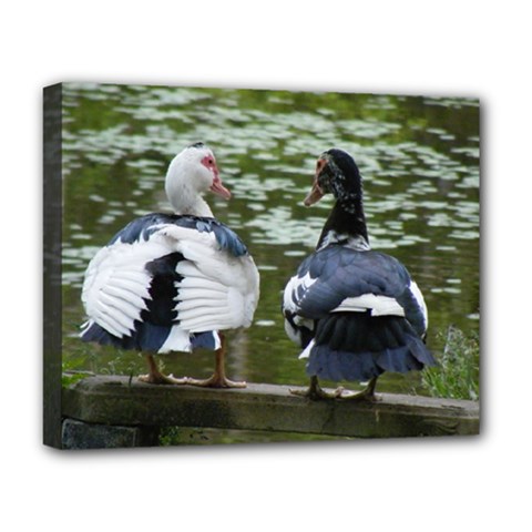 Muscovy Ducks At The Pond Deluxe Canvas 20  X 16   by IIPhotographyAndDesigns