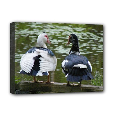 Muscovy Ducks At The Pond Deluxe Canvas 16  X 12   by IIPhotographyAndDesigns