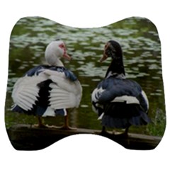 Muscovy Ducks At The Pond Velour Head Support Cushion by IIPhotographyAndDesigns