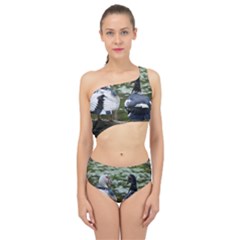 Muscovy Ducks At The Pond Spliced Up Two Piece Swimsuit by IIPhotographyAndDesigns