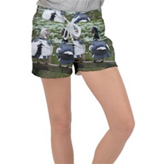 Muscovy Ducks At The Pond Women s Velour Lounge Shorts by IIPhotographyAndDesigns