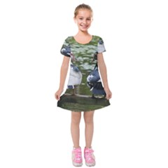 Muscovy Ducks At The Pond Kids  Short Sleeve Velvet Dress by IIPhotographyAndDesigns