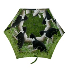 Farm Cat Mini Folding Umbrellas