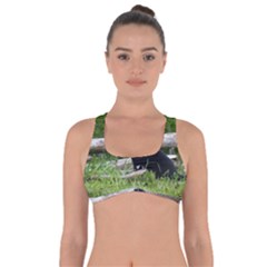 Farm Cat Got No Strings Sports Bra by IIPhotographyAndDesigns