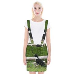 Farm Cat Braces Suspender Skirt by IIPhotographyAndDesigns