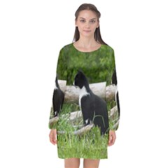 Farm Cat Long Sleeve Chiffon Shift Dress  by IIPhotographyAndDesigns