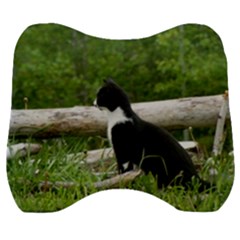 Farm Cat Velour Head Support Cushion by IIPhotographyAndDesigns