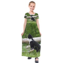 Farm Cat Kids  Short Sleeve Maxi Dress by IIPhotographyAndDesigns