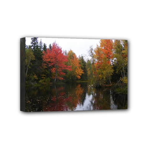 Autumn Pond Mini Canvas 6  X 4  by IIPhotographyAndDesigns