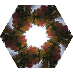 Autumn Pond Mini Folding Umbrellas by IIPhotographyAndDesigns