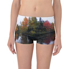 Autumn Pond Boyleg Bikini Bottoms