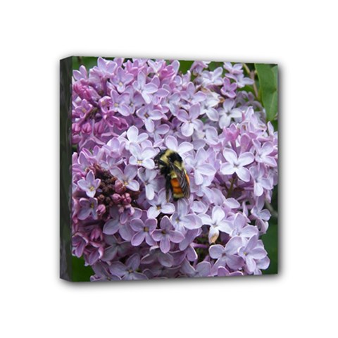 Lilac Bumble Bee Mini Canvas 4  X 4  by IIPhotographyAndDesigns