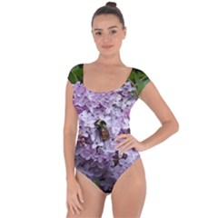 Lilac Bumble Bee Short Sleeve Leotard  by IIPhotographyAndDesigns