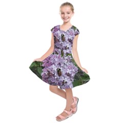 Lilac Bumble Bee Kids  Short Sleeve Dress by IIPhotographyAndDesigns