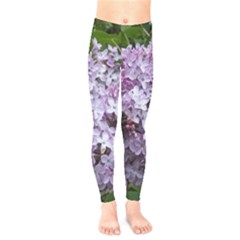 Lilac Bumble Bee Kids  Legging