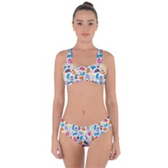 Funny Cute Colorful Cats Pattern Criss Cross Bikini Set by EDDArt