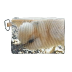 Silkie Chick  Canvas Cosmetic Bag (large) by IIPhotographyAndDesigns