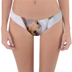 Curious Squirrel Reversible Hipster Bikini Bottoms by FunnyCow