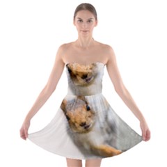 Curious Squirrel Strapless Bra Top Dress by FunnyCow