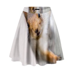 Curious Squirrel High Waist Skirt by FunnyCow