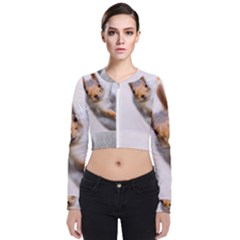 Curious Squirrel Zip Up Bomber Jacket by FunnyCow