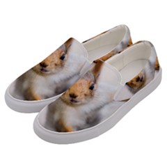 Curious Squirrel Men s Canvas Slip Ons by FunnyCow