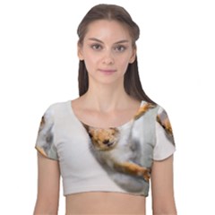 Curious Squirrel Velvet Short Sleeve Crop Top  by FunnyCow