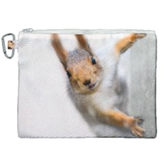 Curious Squirrel Canvas Cosmetic Bag (xxl) by FunnyCow