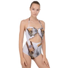 Curious Squirrel Scallop Top Cut Out Swimsuit by FunnyCow