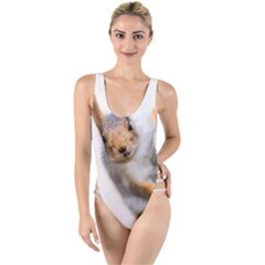 Curious Squirrel High Leg Strappy Swimsuit by FunnyCow