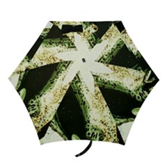 There Is No Promissed Rain 2 Mini Folding Umbrellas by bestdesignintheworld