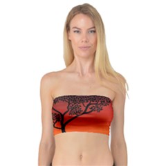 Sunset Dinosaur Scene Bandeau Top