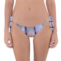 Squirrel Looks At You Reversible Bikini Bottom by FunnyCow